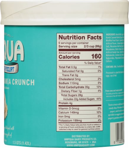 Umpqua Fat Free Caramel Macadamia Nut Frozen Yogurt Tub Perspective: right