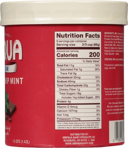 Umpqua Mint Chocolate Chip Ice Cream Tub Perspective: right