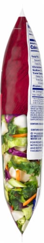 Dole® BBQ Ranch Chopped Salad Kit Perspective: right