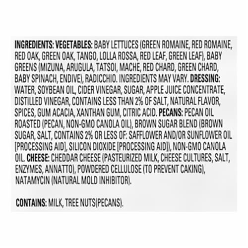Dole Apple Harvest Premium Kit 1 ea Perspective: right