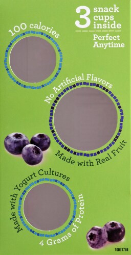 Healthy Choice Blueberry Greek Frozen Yogurt Perspective: right