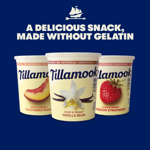 Tillamook Oregon Strawberry Low Fat Yogurt Tub Perspective: right