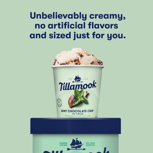 Tillamook Mint Chocolate Chip Ice Cream Perspective: right