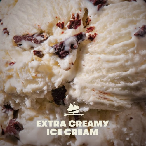 Tillamook Mint Chocolate Chip Ice Cream Perspective: right