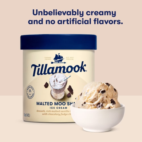 Tillamook Malted Moo Shake Ice Cream Tub Perspective: right