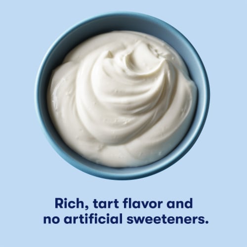 Tillamook Plain Low Fat Greek Yogurt Tub Perspective: right