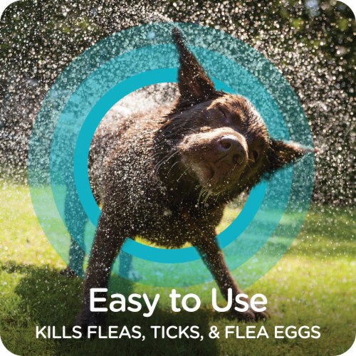 Sergeant's Guardian Pro Flea & Tick Shampoo for Dogs Perspective: right