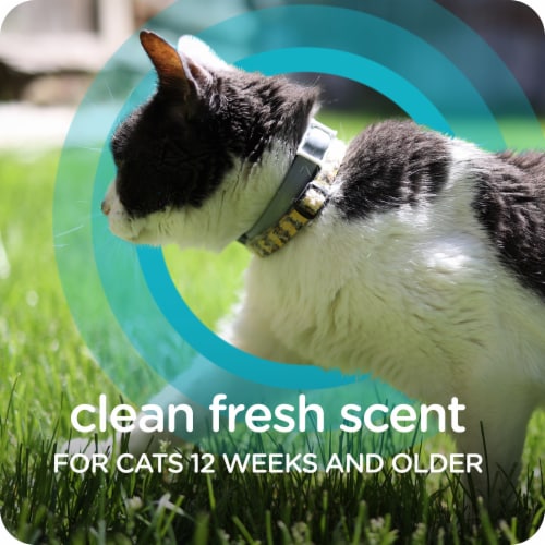 Sergeants flea collar for cats hotsell