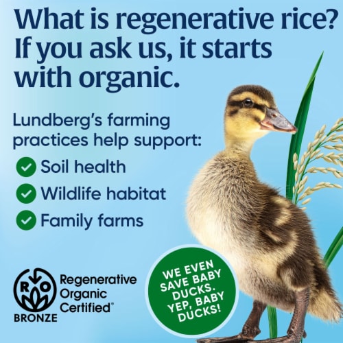 Lundberg Family Farms® Organic California White Basmati Rice Perspective: right