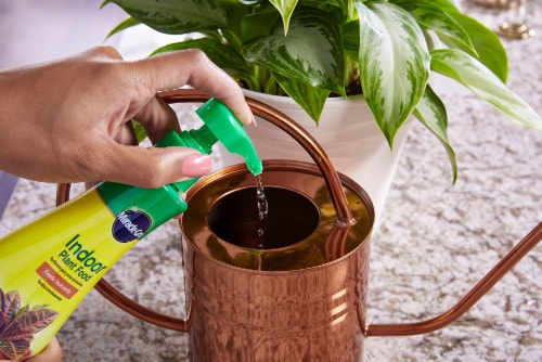 Miracle-Gro Indoor Plant Food Perspective: right