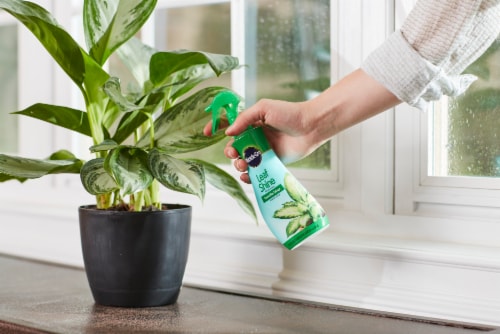 Miracle-Gro Leaf Shine Perspective: right