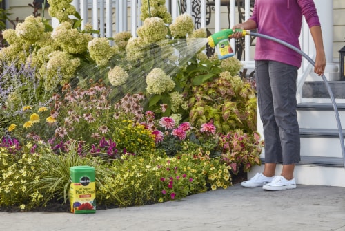 Miracle-Gro® All Purpose Plant Food Perspective: right