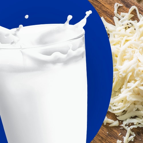 Galbani Whole Milk Mozzarella Cheese Ball Perspective: right