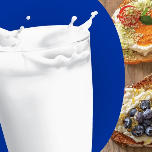 Galbani Whole Milk Ricotta Cheese Perspective: right