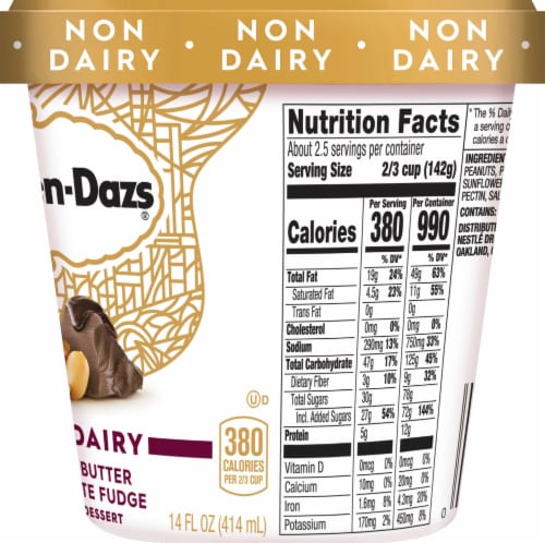Haagen-Dazs Dairy Free Peanut Butter Chocolate Fudge Frozen Dessert Perspective: right