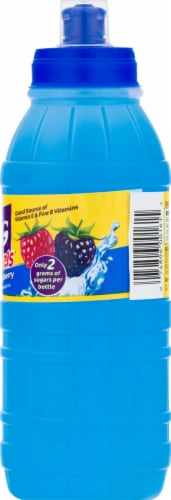 Big Hug® Blue Raspberry Fruit Barrel Perspective: right