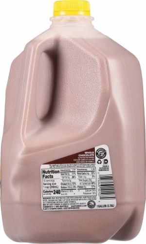 Mayfield Vitamin D Whole Chocolate Milk Perspective: right