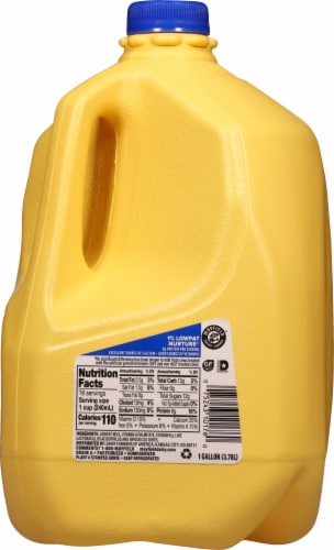 Mayfield 1% Lowfat Milk Perspective: right