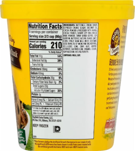 Mayfield Espresso Chocolate Chunk Premium Ice Cream Perspective: right