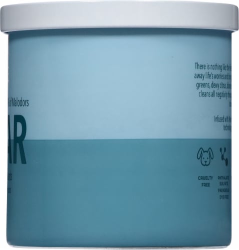Candle-lite Odor Eliminating Clear Scented 2-Wick Candle Perspective: right