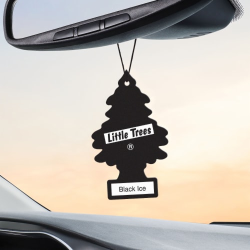 Little Trees 3.5oz Spray Car Air Freshener, Vanillaroma Scent