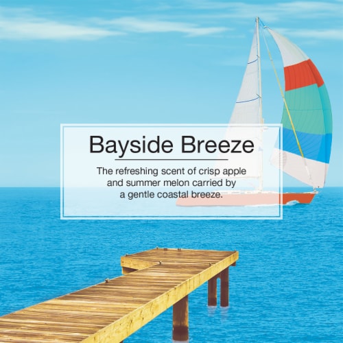 Little Trees® Bayside Breeze Car Air Fresheners, 3 pk