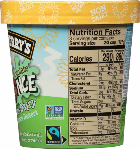 Ben & Jerry's Mint Chocolate Chance Ice Cream Perspective: right