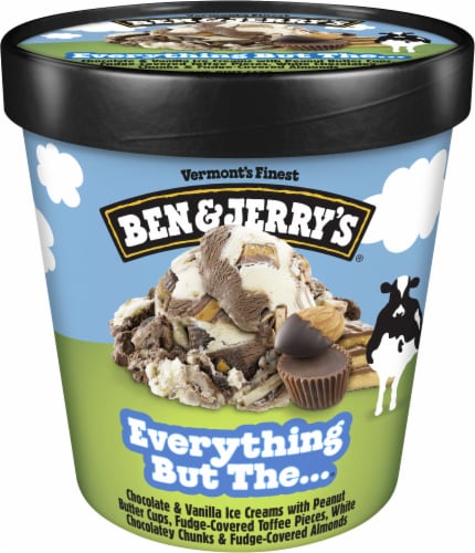Ben & Jerry's Everything Ice Cream Perspective: right