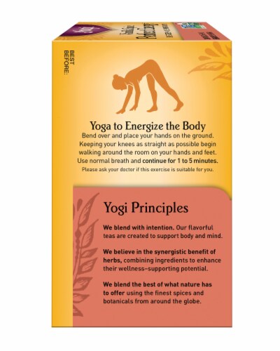 Yogi® Perfect Energy Vanilla Spice Tea Bags Perspective: right