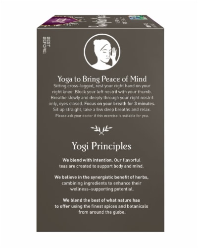 Yogi Pumpkin Spice Organic Herbal Tea Bags Perspective: right