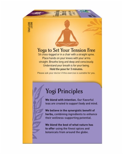 Yogi® Cinnamon Horchata Stress + Sleep™ Herbal Tea Bags Perspective: right