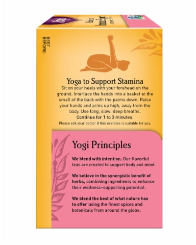 Yogi Echinacea Immune Support Caffeine Free Tea Bags Perspective: right