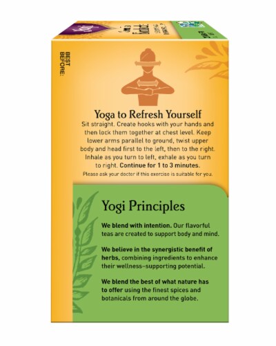 Yogi Organic Kombucha Green Tea Bags Perspective: right
