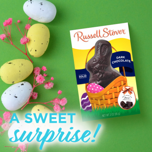 RUSSELL STOVER Easter Bunny Solid Dark Chocolate Candy Rabbit Perspective: right