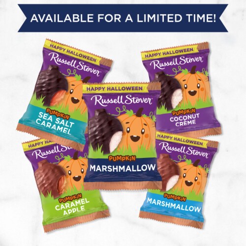 RUSSELL STOVER Halloween Dark Chocolate Marshmallow Pumpkin, 1.3 oz