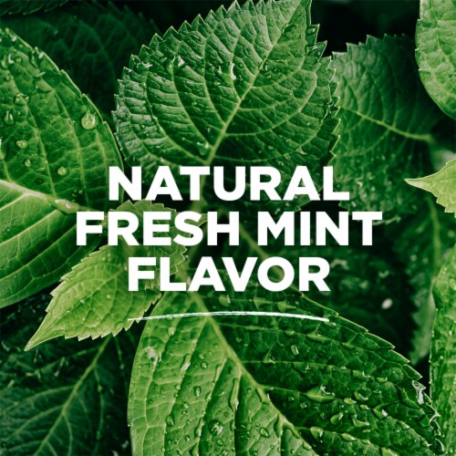 Tom's of Maine Whole Care Natural Fluoride Mouthwash Fresh Mint Perspective: right