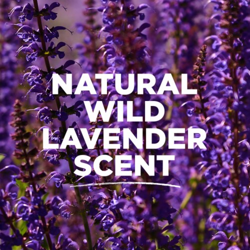 Tom's of Maine Long-Lasting Aluminum-Free Natural Deodorant for Women Wild Lavender Perspective: right