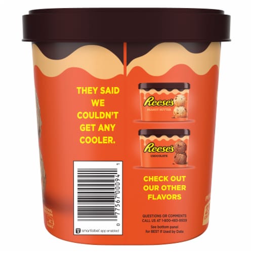Reese's with Mini Reese's Pieces and Peanut Butter Swirl Vanilla Light Ice Cream Perspective: right