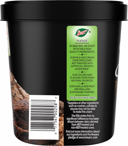 Breyers Double Chocolate Brownie Batter Frozen Dairy Dessert Tub Perspective: right