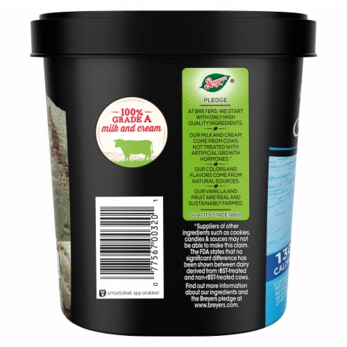 Breyers CarbSmart Mint Fudge Cookie Frozen Dairy Dessert Perspective: right