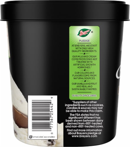 Breyers Chocolate Chip Frozen Dairy Dessert Tub Perspective: right