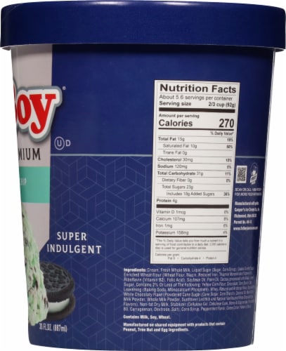 Fatboy® Cookie Mint Chip Ice Cream Tub Perspective: right