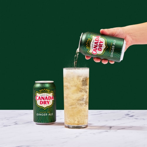 Canada Dry® Ginger Ale Soda Mini Cans