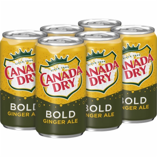 Canada Dry® Bold Ginger Ale Soda Mini Cans Perspective: right