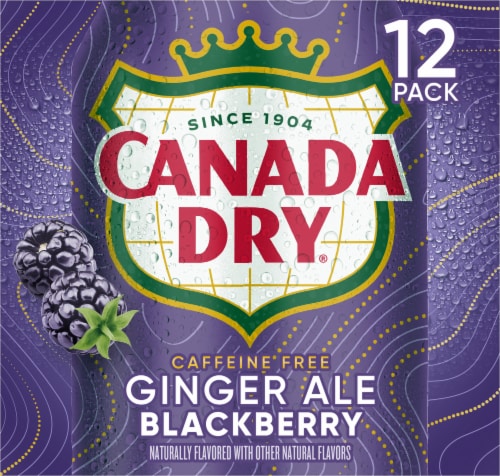 Canada Dry Blackberry Ginger Ale Soda Cans Perspective: right