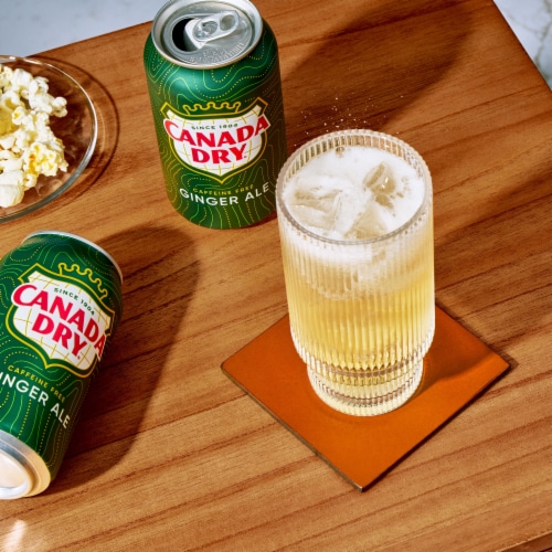 Canada Dry Ginger Ale Soda Mini Cans Perspective: right