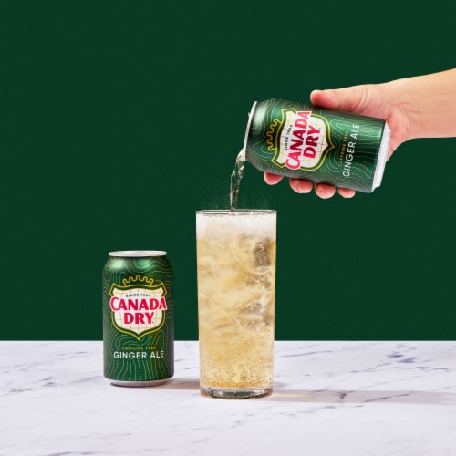 Canada Dry Ginger Ale Caffeine Free Soda Cans Perspective: right