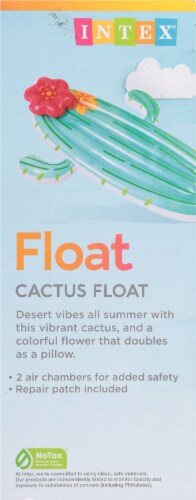 Intext Cactus Float Perspective: right