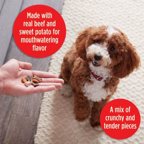 Milk-Bone Dog Snacks 9 oz Perspective: right