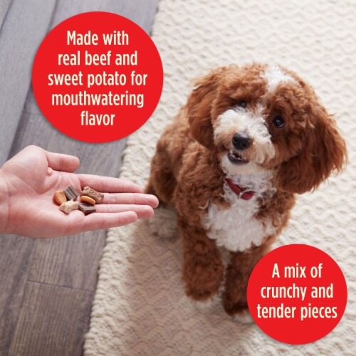Milk-Bone Dog Snacks 9 oz Perspective: right